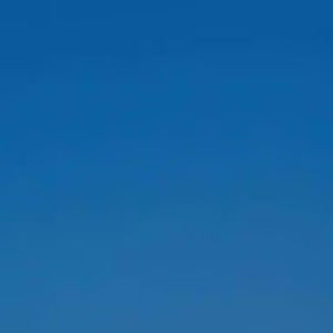 Meet your Posher, Scarlett